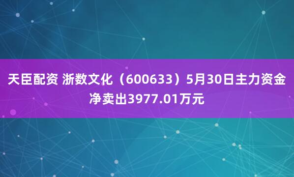天臣配资 浙数文化（600633）5月30日主力资金净卖出3977.01万元