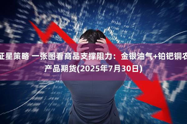 证星策略 一张图看商品支撑阻力：金银油气+铂钯铜农产品期货(2025年7月30日)