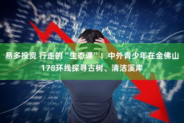 易多投资 行走的“生态课”！中外青少年在金佛山178环线探寻古树、清洁溪岸