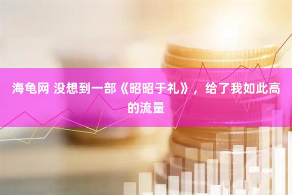 海龟网 没想到一部《昭昭于礼》，给了我如此高的流量