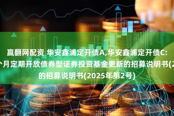赢翻网配资 华安鑫浦定开债A,华安鑫浦定开债C: 华安鑫浦87个月定期开放债券型证券投资基金更新的招募说明书(2025年第2号)