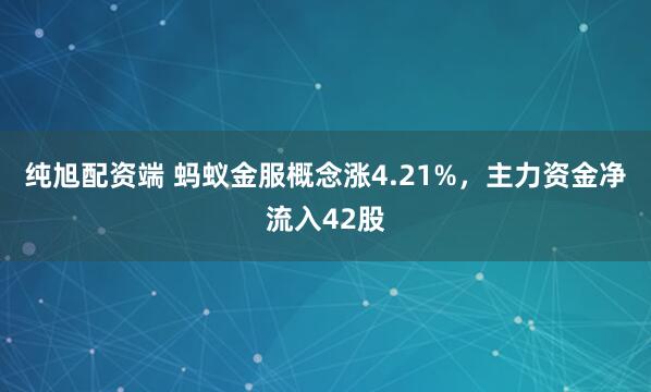 纯旭配资端 蚂蚁金服概念涨4.21%，主力资金净流入42股